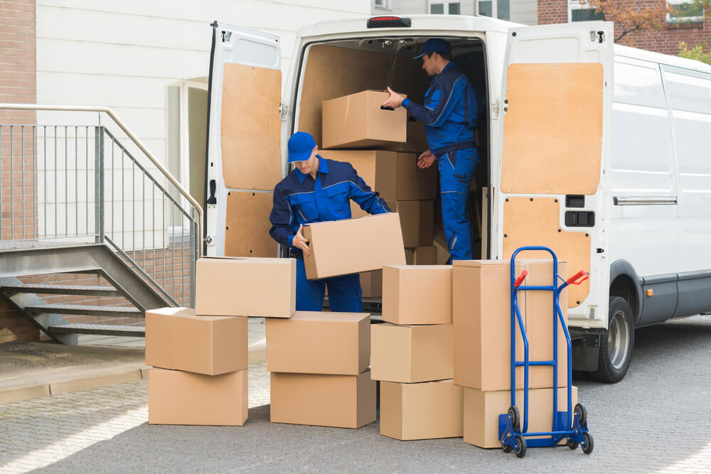 domace selidbe firby logistic